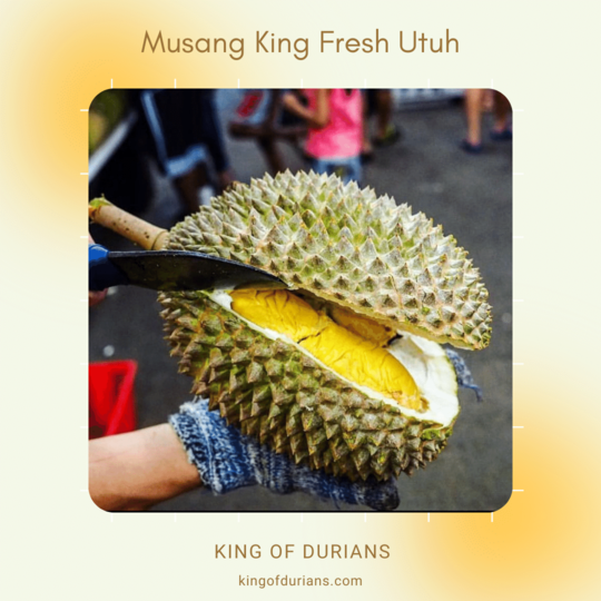 Musang King Fresh Utuh​ (2)