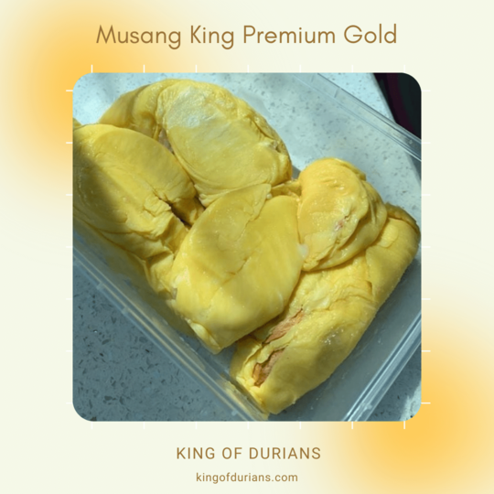Musang King Premium Gold (4)