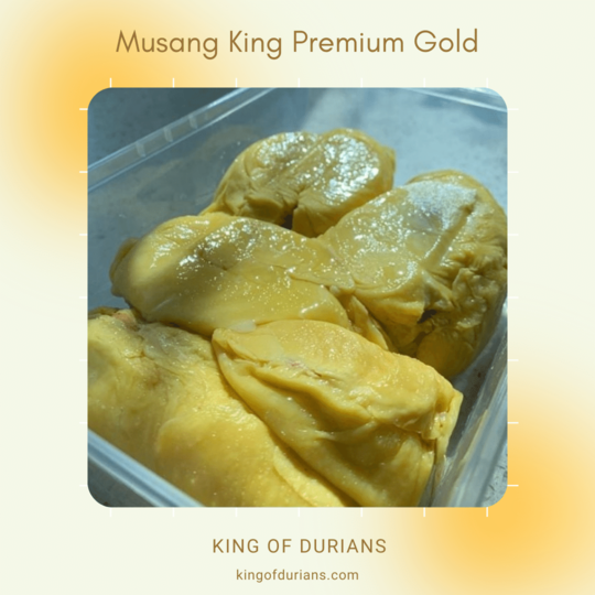 Musang King Premium Gold (5)