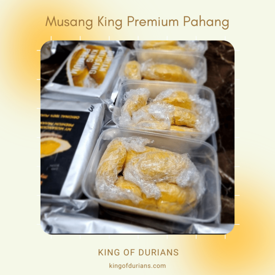 Musang King Premium Pahang (2)