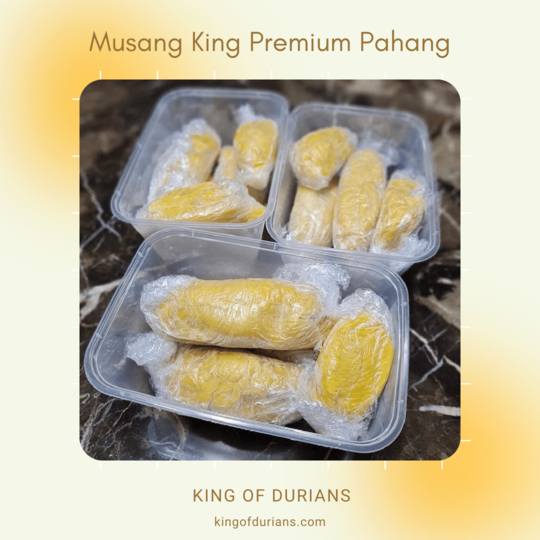Musang King Premium Pahang (3)