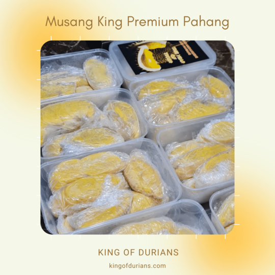 Musang King Premium Pahang (4)